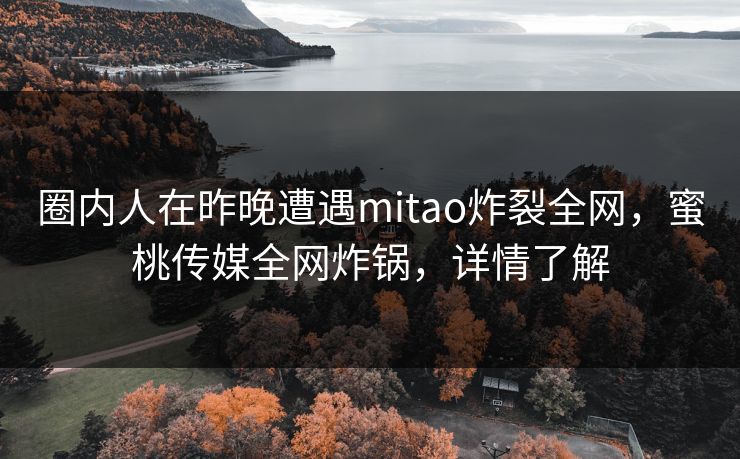 圈内人在昨晚遭遇mitao炸裂全网，蜜桃传媒全网炸锅，详情了解