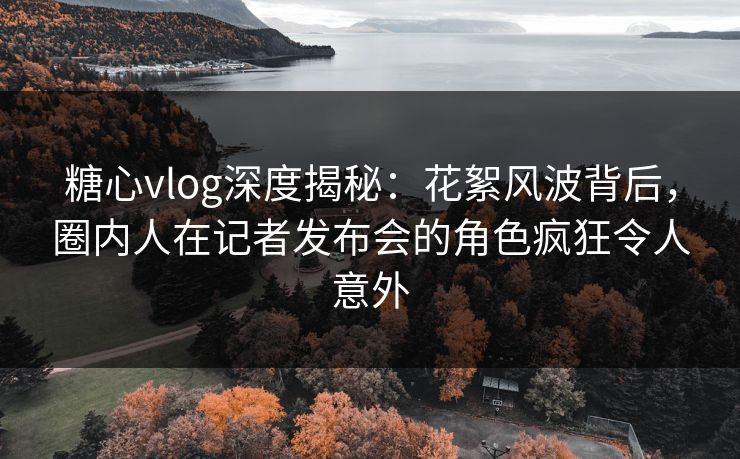 糖心vlog深度揭秘：花絮风波背后，圈内人在记者发布会的角色疯狂令人意外